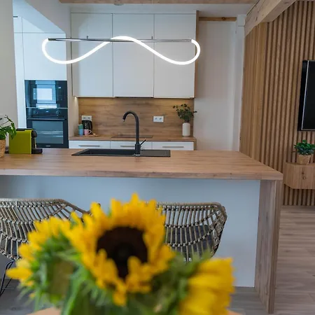 Апартаменты Apartament Lowicka